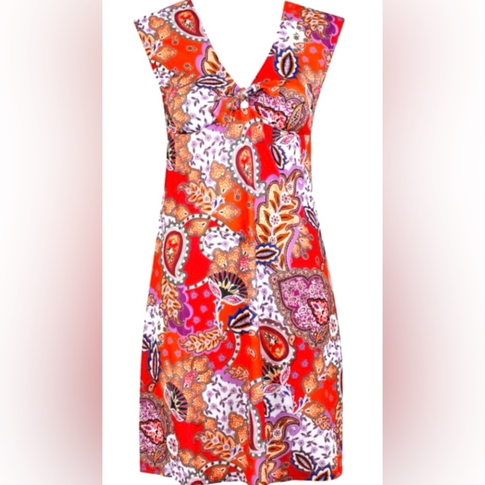 ANTIGEL DE LISE CHARMEL LA BOLLYWOOD FUSHIA KASHMIR Beach Dress/Size M